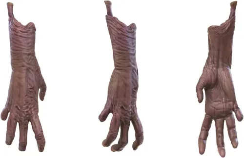 Miniatura 7 de Figura de acción FIG Biz Creepshow Creep 5IN