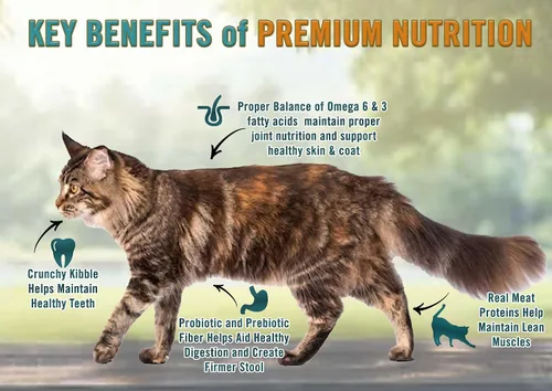 Miniatura 3 de Chicken Soup for the Soul All Natural Premium - Alimento seco para gatos sin granos para toda la vida, primer ingrediente de carne real, sin