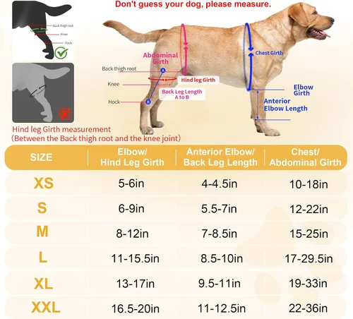 Miniatura 4 de Rodillera para perro para pierna trasera desgarrada del ligamento cruzado anterior, pierna trasera o patas delanteras, rodillera de perro