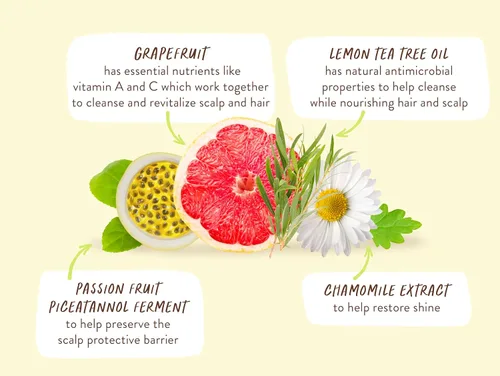 Miniatura 9 de Babo Botanicals Purifying Lemon Tea Tree & Grapefruit Shampoo + Bundle with Conditioner – For Flat, Oily Prone Hair – Add body & shine - Passion