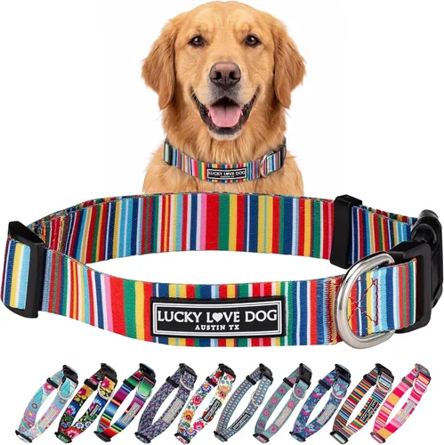 Lucky Love Dog - Collar de perro ajustable con hebilla de fácil clic para los grandes, duradero y cómodo para perros machos y hembras, collar de