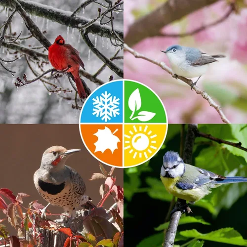 Miniatura 6 de Blue Seal Woodpecker - Barras de golosinas de sebo para aves silvestres, alimento para pájaros carpinteros, cardenales, gorriones y más, 8 onzas