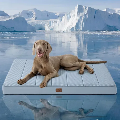 Miniatura 48 de Bedsure Camas para Perros Tamaño Grande - Cómodas Camas Planas para Mascotas con Funda Lavable Extraíble, Alfombrilla de Espuma Ortopédica