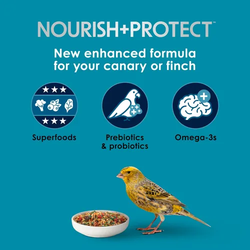 Miniatura 3 de Kaytee Forti-Diet Pro Health Canary & Finch Alimento para pájaros para mascotas, 2 libras