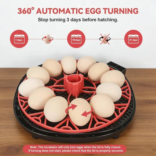 Miniatura 3 de Gen II - Incubadora automática de 12 huevos, humedad de dos etapas con recarga automática y control de temperatura estable, giro automático