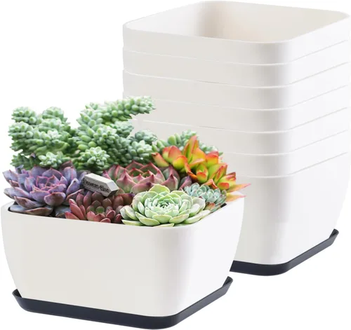 Miniatura 10 de Macetas para suculentas en forma de corazón poco profundas con orificio de drenaje, 4 paquetes de macetas de cactus para el hogar, oficina, jardín