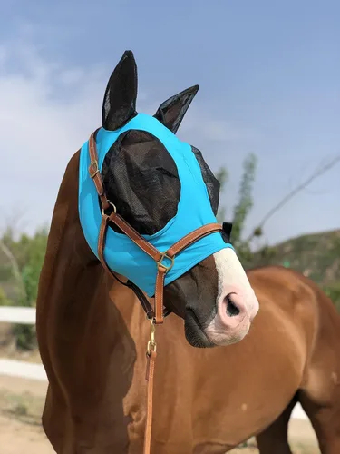 Máscara para caballo Tgw Riding, con orejas, con agarre extracómodo, de malla suave, Azul, M Pacific Blue