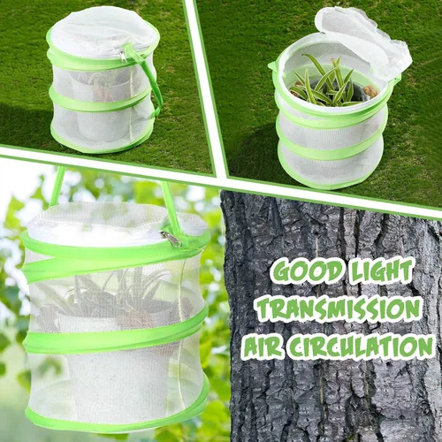 Miniatura 4 de Sherr Jaula de malla transparente para hábitat, 2 unidades, terrario plegable, 6.2 x 7.1 pulgadas (verde)