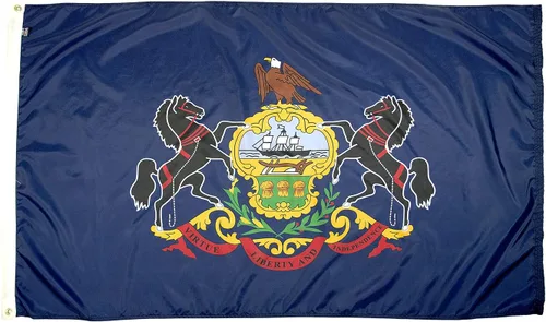 Miniatura 58 de FlagSource Bandera del estado de nailon de Iowa, fabricada en los Estados Unidos, 4 x 6 pies Iowa 4x6