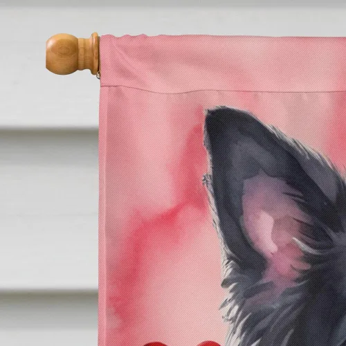 Miniatura 3 de Caroline's Treasures DAC5292CHF - Bandera de Border Collie My Valentine House para porche, grande, con manga para porche, para colgar en la pared