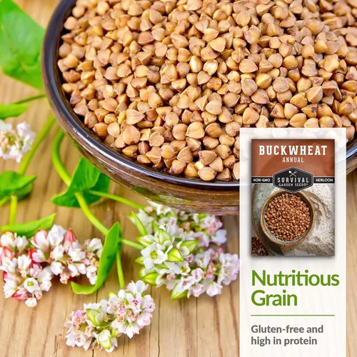 Miniatura 4 de Survival Garden Seeds Semilla de trigo sarraceno para plantar, 3 paquetes con instrucciones para plantar y cultivar un cultivo de cobertura