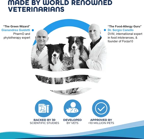 Miniatura 5 de Forza10 Alimento húmedo para gatos, sabor a pescado y salmón, alimento húmedo para gatos adultos con problemas gastrointestinales y digestivos