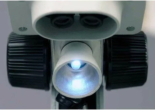 Miniatura 3 de AMSCOPE -Microscopio estéreo binocular portátil para niños, oculares WF5X y WF10x, aumento de 10X y 20X, objetivo 2X, fuente de luz de tungsteno