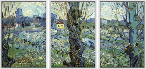 Miniatura 95 de Lienzo decorativo para pared - cuadro con estampado Giclée para decoración del hogar Noche estrellada sobre el Ródano