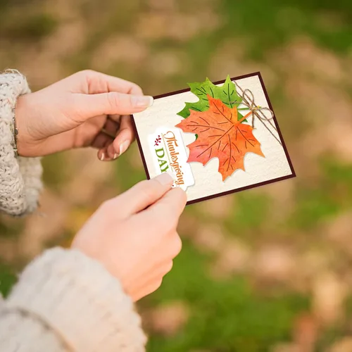 Miniatura 4 de ORIGACH Juego de sellos y troqueles transparentes de palabras de felicitación de otoño, sellos de silicona y troquelado de metal para hacer