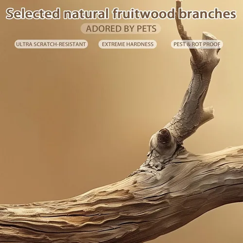 Miniatura 6 de Natural Modern - Torre de árbol para gatos, condominio de madera para gatos con bola colgante, cestas acogedoras, postes rascadores, para gatos