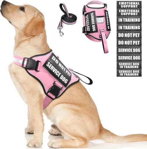 Miniatura 10 de Juego de arnés y correa para perro de servicio, chaleco de entrenamiento para perros con 10 parches para perros, arnés y chaleco para perros de Azul