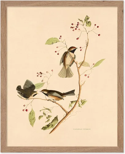 Miniatura 46 de Poster Master Póster Vintage de Plantas Cultivadas - Impresión Botánica Retro - Arte de Flores - Arte de Plantas - Regalo para Hombres y Mujeres