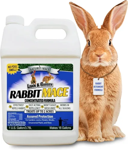 Nature’s MACE Rabbit Mace, repelente de conejos para exteriores, 1 galón de concentrado, cubre 2 acres, aerosol disuasorio de conejos para césped,