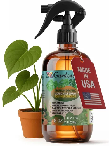 Miniatura 41 de GARDENERA Spray orgánico profesional de algas marinas para plantas AGLAONEMA – 8 oz – Rocío fertilizante de algas marinas y algas marinas totalmente