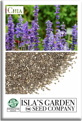 Semillas de chía para plantar, más de 1000 semillas por paquete, hierba/flor, semillas de jardín de Isla (semillas de jardín de Isla), semillas sin
