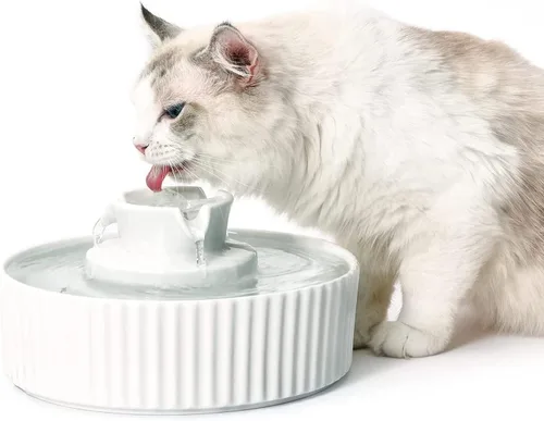 Miniatura 12 de Fuente de agua para gatos: Fuente de agua para mascotas Cepheus - Fuente de agua automática para gatos y perros con bomba ultra silenciosa (morado)