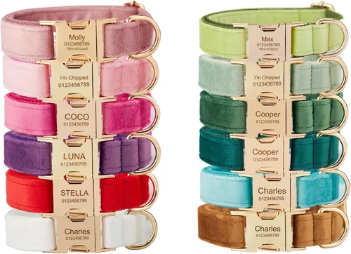 Collares de perro personalizados con hebilla metálica - Collares personalizados con nombre de mascota y número de teléfono para razas pequeñas,