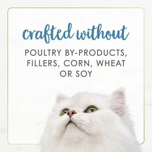 Miniatura 6 de Purina Fancy Feast Gourmet Naturals - Alimento húmedo en paté para gatos, sin cereales, receta de trucha y atún (paquete de 12 unidades) latas de 3