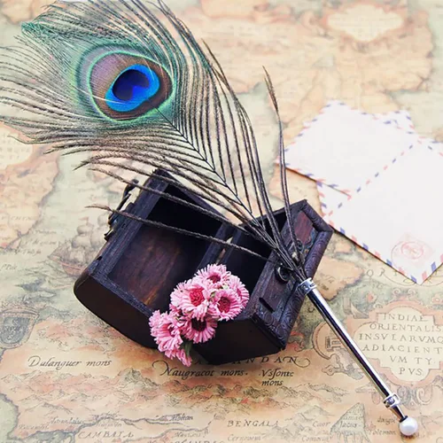 Bolígrafo de pluma de pavo real OPENDGO, bolígrafo vintage de tinta negra con pluma de pavo real refinada y varilla chapada, para escritura escolar
