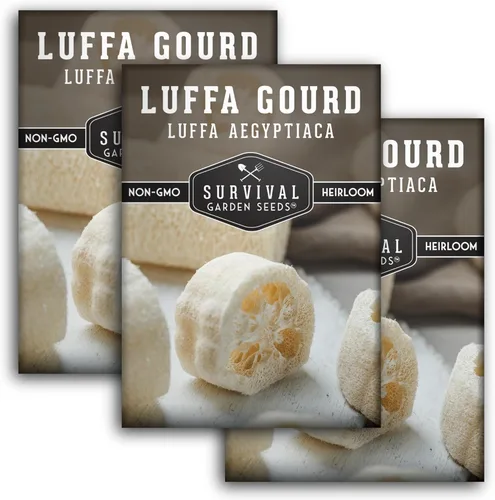Miniatura 11 de Luffa Seeds for Planting – Variedad de esponja de lufa sin OMG – Cultiva depuradores de baño naturales, frutas jóvenes comestibles y enredaderas
