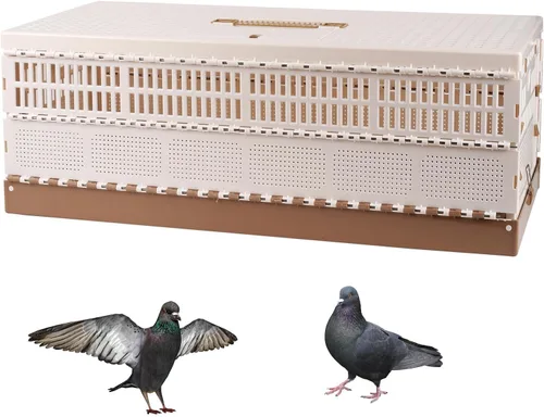 Miniatura 9 de Jaula plegable de plástico para palomas con asa, jaula portátil de viaje para pájaros, jaula de emparejamiento, caja nido de palomas, fácil