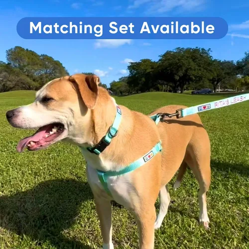 Miniatura 6 de Pawtitas Collar personalizado para perro, collar de perro pequeño, bordado con nombre, número de teléfono, collar de cachorro, collar ajustable