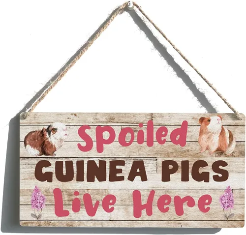 Miniatura 12 de Cartel familiar de regalo de casa de campo Auntie & Uncle it Means a Whole Lot To Have The Love Placa colgante de madera retro para decoración