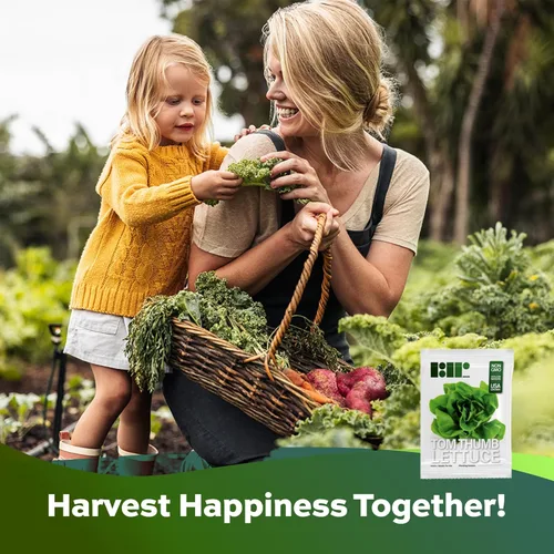 Miniatura 6 de Más de 1000 semillas de lechuga Tom Thumb Heirloom, cultivadas en Estados Unidos sin OMG, cultivadas en Estados Unidos, lechuga en miniatura de 5