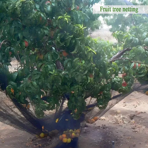 Miniatura 8 de Red de protección tejida para pájaros de 4,6 x 4,6 m, malla de 1,3 cm, fuerte red de protección contra pájaros para árboles frutales, arándanos
