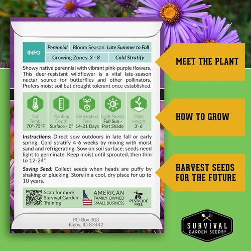 Miniatura 2 de Semillas de Jardín de Supervivencia - Semillas de Áster de Nueva Inglaterra para Plantar Flor Silvestre Perenne Púrpura Nativa Imán de Mariposas