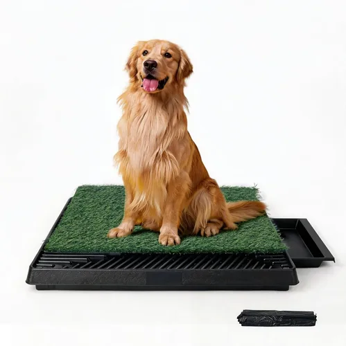 Miniatura 9 de Pawise Soporte para Almohadillas de Orina para Perros para Cachorros, Bandeja Soporte para Almohadillas de Cachorros, Almohadilla de Entrenamiento