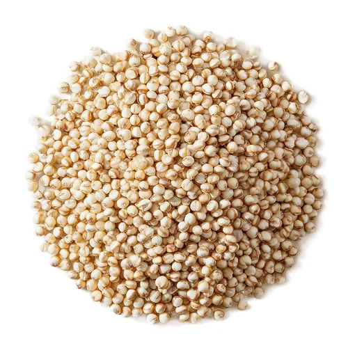 Miniatura 3 de Food to Live Grano orgánico de sorgo blanco de Great Plains, 1.5 libras, granos antiguos enteros. Alto en fibra. Sin OMG. Semillas de milo. Veganas