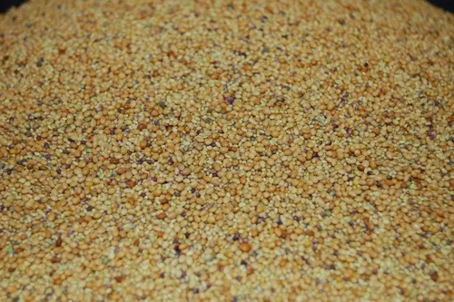 Miniatura 7 de Tri-Clover de Eretz - Mezcla de tres partes de tréboles que proporcionan belleza, cobertura y atractivo natural. Sin recubrimientos ni rellenos