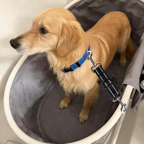 Miniatura 4 de Clip de seguridad para el collar de punta, clip de seguridad para perro, conector de arnés para perro, correa de respaldo de nailon reflectante