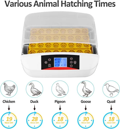 Miniatura 6 de Incubadora de huevos, 42 incubadoras de huevos para incubar huevos con girador automático digital de pollos Control de temperatura y humedad