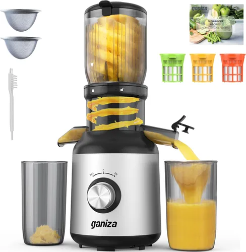 Ganiza - Máquinas exprimidoras de masticación lenta, exprimidores de prensa fría con gran canal de alimentación para frutas y verduras enteras,