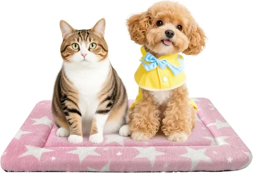 Miniatura 64 de Alfombrilla para Cama de Perro – Almohadilla de Perrera Suave y Cómoda para Jaula – Cama y Almohadilla Duradera para Perros y Gatos – Ideal para Gris