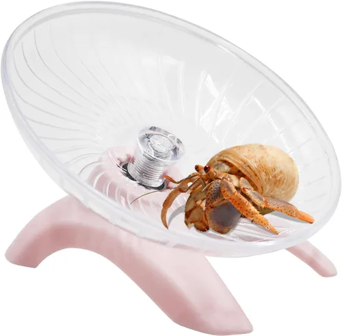 Miniatura 11 de Rueda de juguete para cangrejos ermitaños, juguete de rueda para correr de hámster, accesorio para jaula de animales pequeños, accesorio para Negro