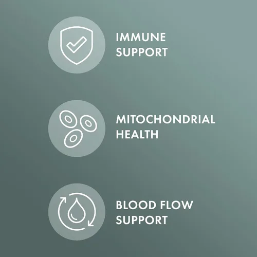 Miniatura 3 de Dr. Mercola Hongos Chaga orgánicos - Apoyo inmunológico - Mezcla adaptogénica con extracto de chaga y polvo de chaga - USDA Organic - Sin gluten