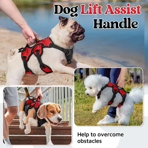 Miniatura 3 de rabbitgoo - Arnés para perro a prueba de fugas, arnés para mascotas acolchado suave de cuerpo completo, chaleco reflectante ajustable sin tirones