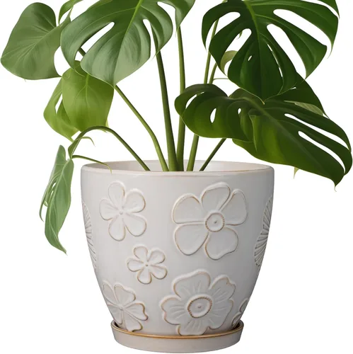 Miniatura 12 de MPotTo Maceta de 6.9 pulgadas con orificio de drenaje y platillo de cerámica para plantas de interior, maceta para orquídeas y suculentas