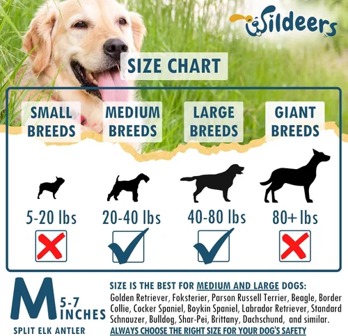 Miniatura 3 de Wildeers Cuernos divididos para perros medianos, paquete de 2, fabricados en Estados Unidos, cuernos de alce de grado A, huesos masticables