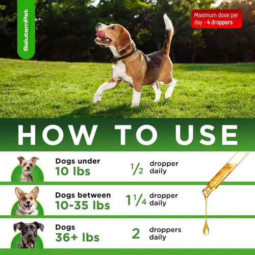 Miniatura 4 de Antibióticos naturales para perros y cachorros Antibióticos para perros de todas las edades Ingredientes a base de hierbas Ayuda con alergias