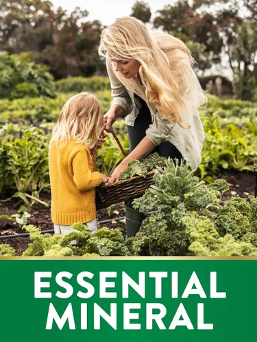 Miniatura 4 de Nature's Truth Suplemento de selenio de 200 mcg Tabletas minerales esenciales de alta potencia Vegano, sin OMG y sin gluten